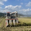 숙이농장 이미지