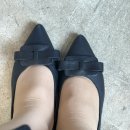 구두잡화 | [제품리뷰]플랫구두 가비클럽 라비올라 후기 🖤 발편한 여성구두 찾는다면 여기! 후기,가격,정보