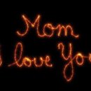 장미꽃사이로 이미지