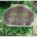 저지오름 이미지