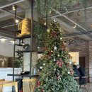 와따쭈꾸미 | 하나 시켰는데 코스요리가 나와? | 대전 유성 계산동 "복사꽃 피는집" | 🐙쭈꾸미 맛집을 다녀왔습니다!