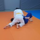 용인대 중앙 체육관 이미지