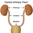 둔촌동물병원 이미지