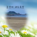 제 623차 산행 : 충남 서천 춘장대 해수욕장(한울 산악회 23년도 여름 수련회)후기 이미지