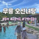 무릉계곡 오선녀탕 | [동해] 무릉 오선녀탕 | 가성비 끝판왕 계곡 물놀이 추천 | 현지인 재방문