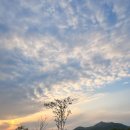 세븐일레븐 충주노은점 | 충주 중앙관-능이전복짬뽕&amp;짜장