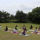 에코아트투어 이미지