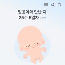꿀단지약국 | 임신 25주차 필수 쇼핑 리스트! 임산부 속옷부터 액상철분제까지 추천템 모음ZIP