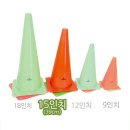 113 이미지