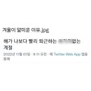 홍초빈대떡 이미지