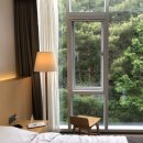 낙산비치호텔 이미지