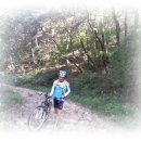 창녕공설운동장 이미지