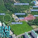 노원구청 불암산나비정원