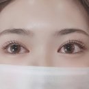 세븐일레븐 춘천영서뷰티점 | 춘천 속눈썹 전문 더나인뷰티 속눈썹펌 후기