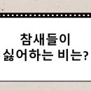 수수께끼 이미지
