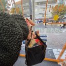 양천제일약국 이미지