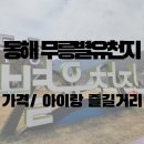재미있는 한국사 놀이여행 | [동해] 무릉별유천지 아이랑 다녀온 후기｜알파인코스터 가격, 놀이시설, 꿀팁까지