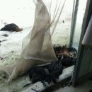 신천리 영농조합법인 이미지