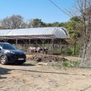 계양산목장 이미지