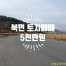 원요진농장 이미지