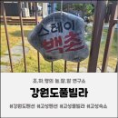 스테이백촌 | 고성펜션 ▸스테이백촌◂ 다녀온 후기!추천!!