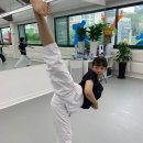 송탄 경희대 태권도 이미지