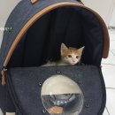 두리동물클리닉 이미지