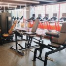 제프휘트니스 이미지