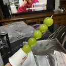 달콤왕가탕후루 신호점