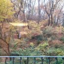 보니하우스 이미지