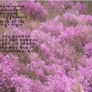 손*훈 이미지