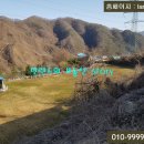 태양목장 Daum카페