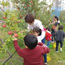 수원-1382 이미지