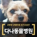 다나동물병원 이미지