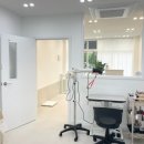 팔레트멍 이미지