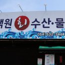상주시보건소 | 친구들이랑 시원하게 한 상! 상주낙양동맛집 백원회수산 모임 후기
