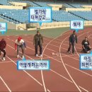 스펀지 이미지