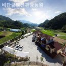 비단골관광농원