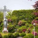 황등중학교 이미지