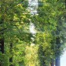 경상식당 | 진이의 일상 일기 :) / 경상대학교병원 지하 식당 후기 / 경상대병원 위 선종 제거