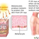 일광약국 이미지