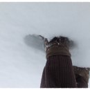 남해우리집 이미지