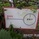 마중오름 이미지