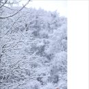 3월16일(토) 홍천 가리산 눈꽃산행 이미지