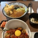 천애부히쇼우 이미지