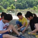 월악초원민박 이미지