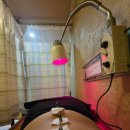 신한한의원 | [ 중곡 ] 중곡동 :: 신한의원 방문 후기 (4개월차)