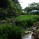 그림리조트 이미지