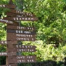 저지리 예술인 마을 이미지