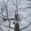 인제16-2 이미지